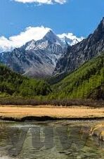 果冻传媒在线观看完整版免费高清-探索果冻传媒，在线观看完整版免费高清的多元体验